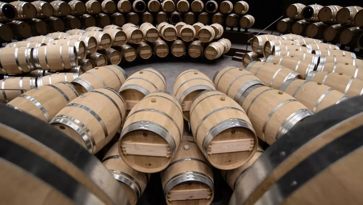 Чем заняться в Крыму в январе