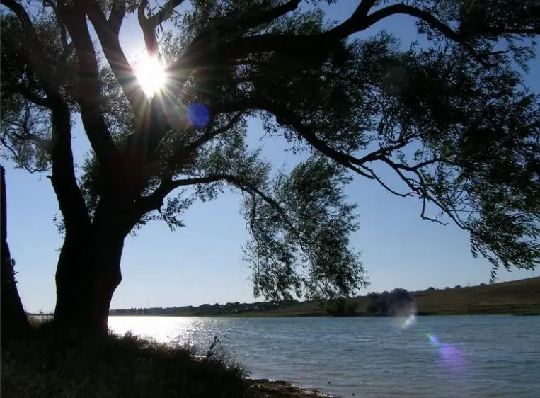 Что посмотреть в Николаевке