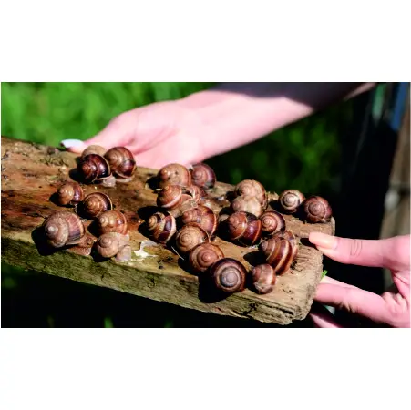 Небанальные локации Крыма