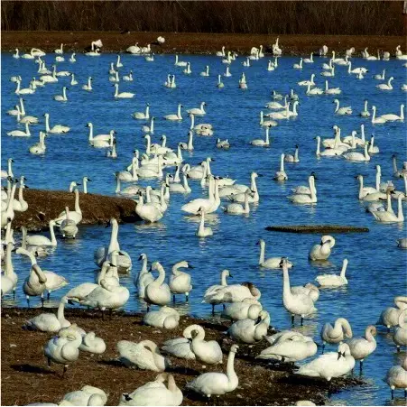 Северный Крым: можно ли хорошо отдохнуть и что посмотреть