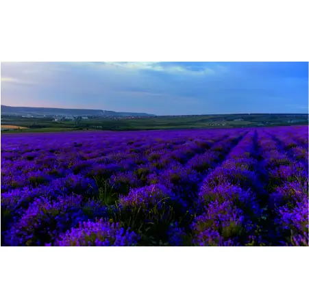 Небанальные локации Крыма