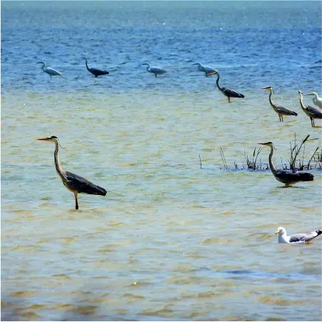 Северный Крым: можно ли хорошо отдохнуть и что посмотреть