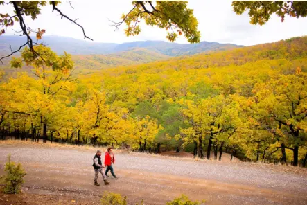 «По следам чёрного камня»: Полное погружение в историю и природу Крыма