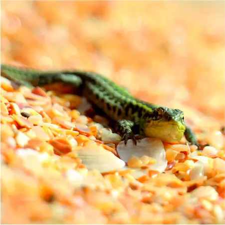 Северный Крым: можно ли хорошо отдохнуть и что посмотреть