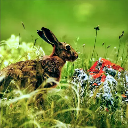 Северный Крым: можно ли хорошо отдохнуть и что посмотреть