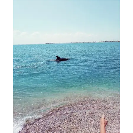 Бакальская коса