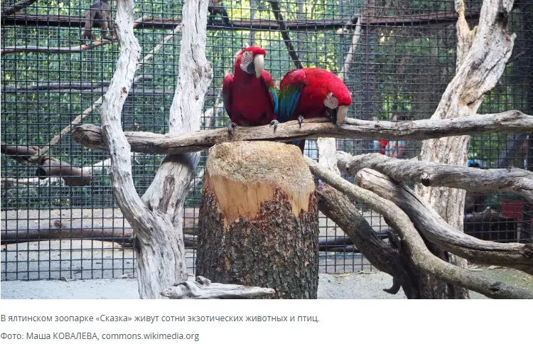 Март в Крыму - магия весны