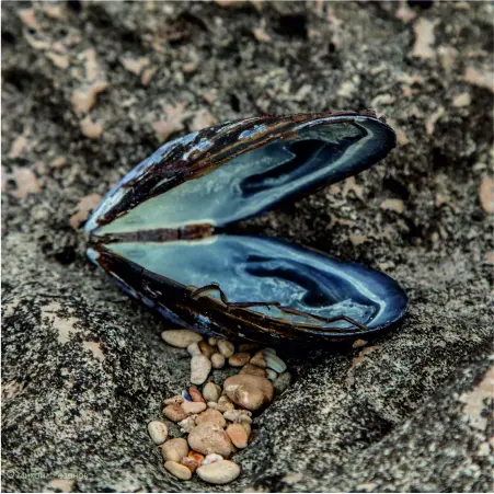 Северный Крым: можно ли хорошо отдохнуть и что посмотреть