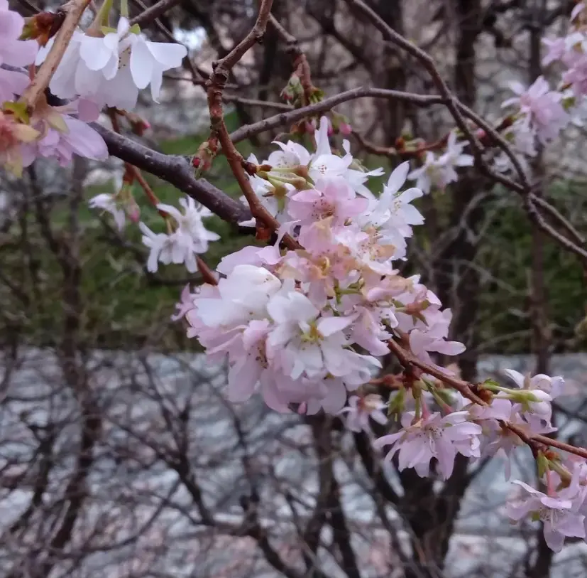 Чем заняться в Крыму в январе