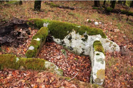 «По следам чёрного камня»: Полное погружение в историю и природу Крыма