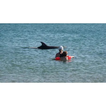 Бакальская коса