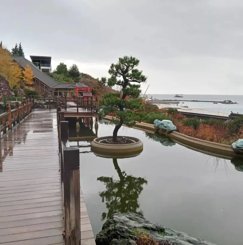 Чем заняться в Крыму в январе