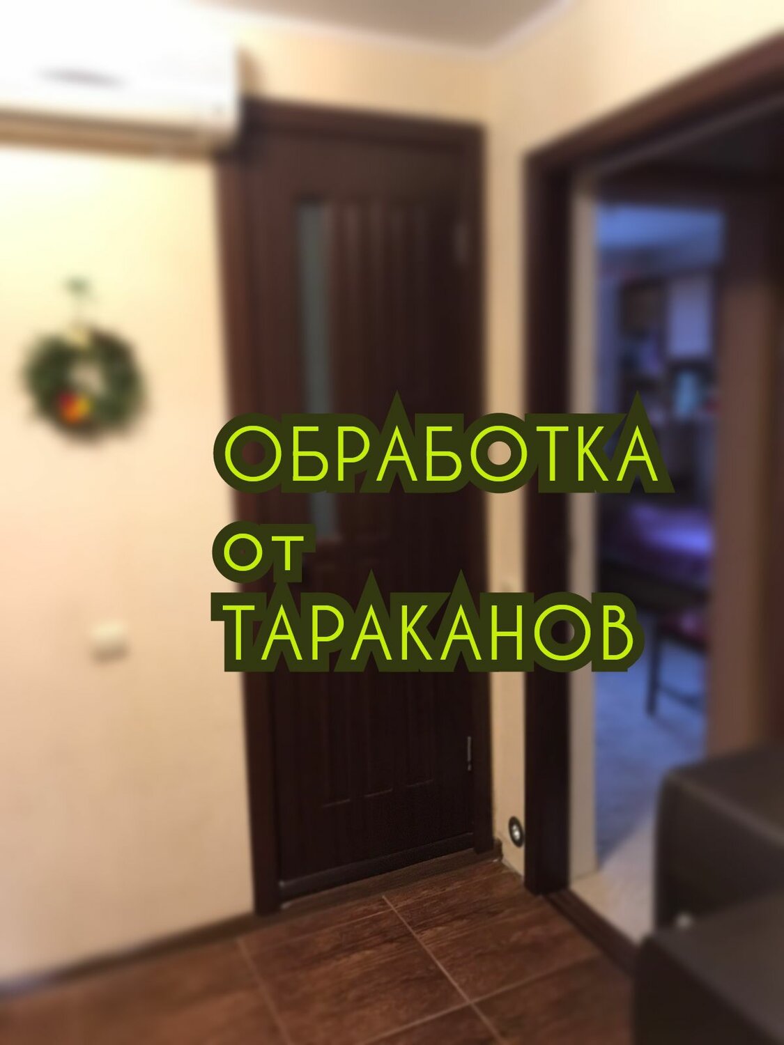 Дезинсекция квартиры