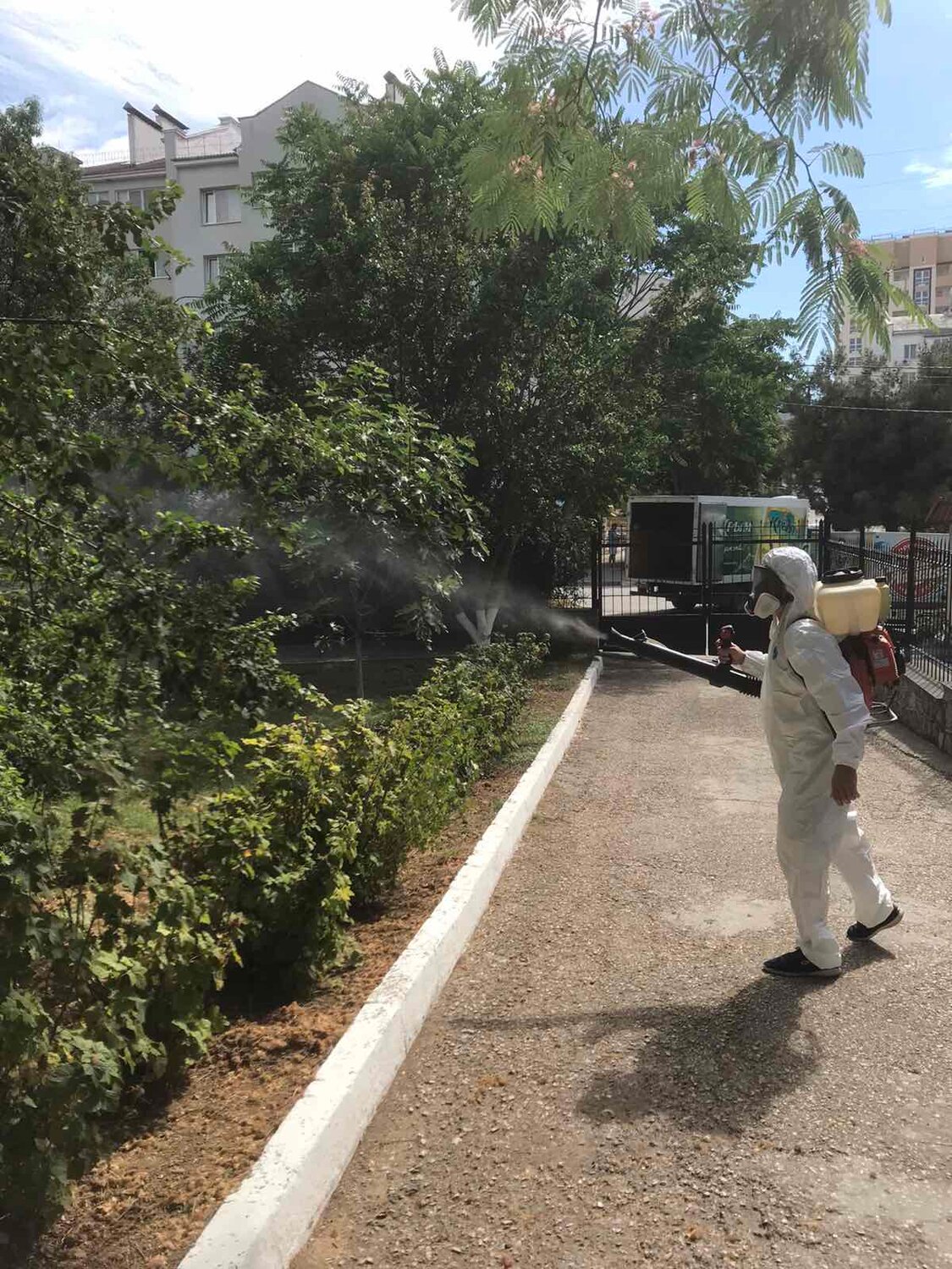 Дезинсекция