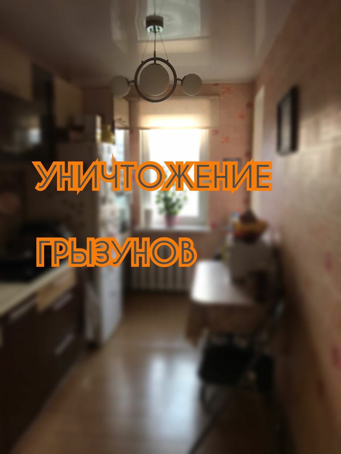 Уничтожение грызунов