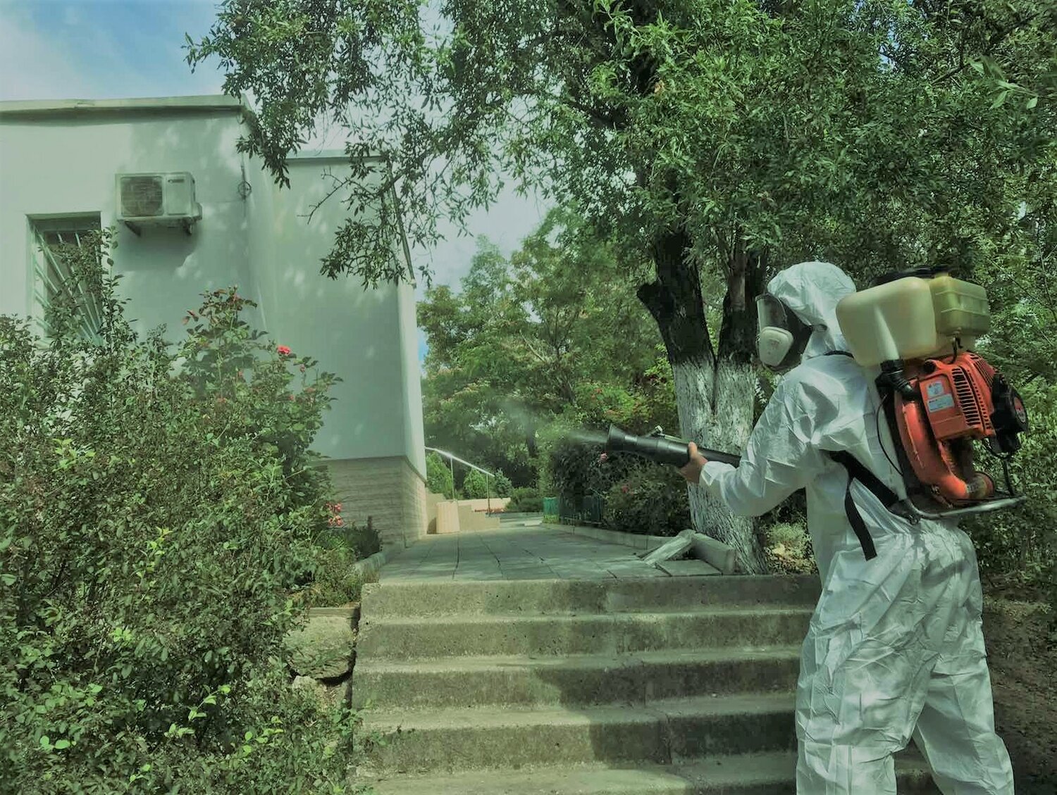 Обработка сада от насекомых