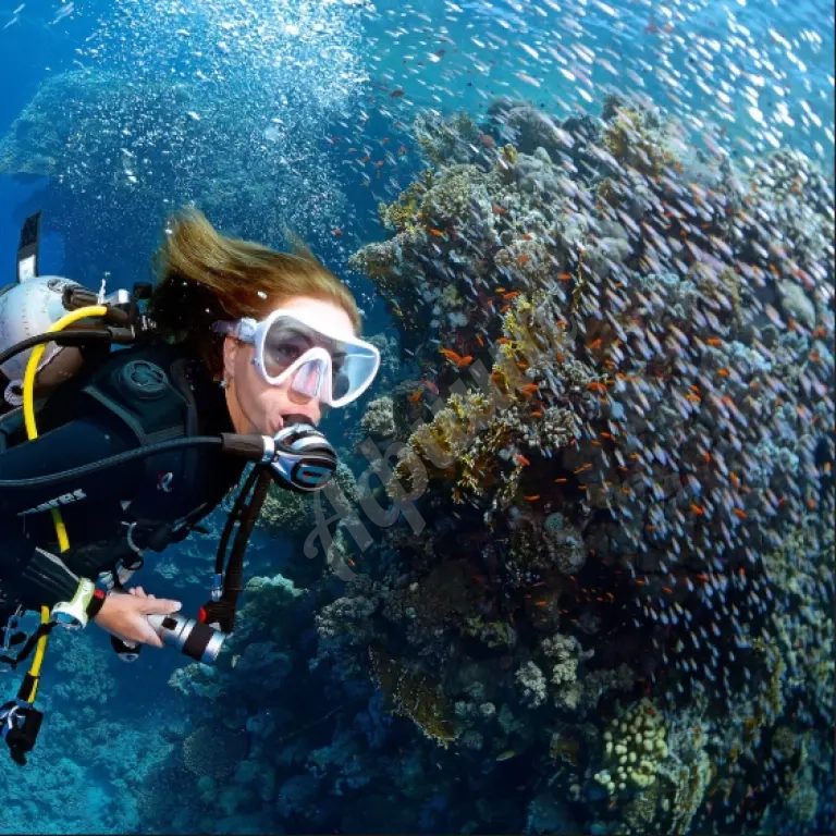 Обучение дайвингу - курс OWSD