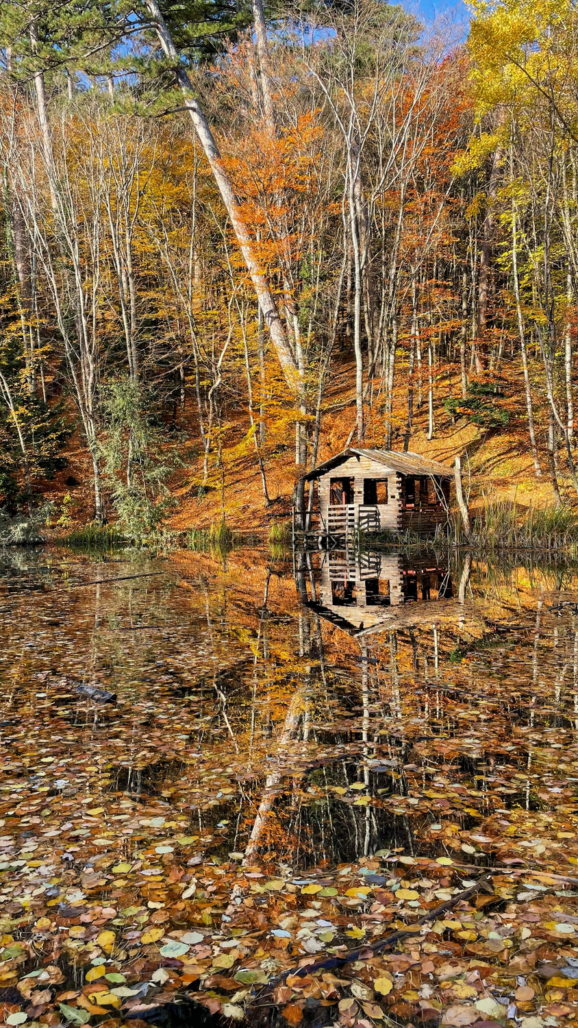За горами, за лесами: Ай-Петри и Большой каньон