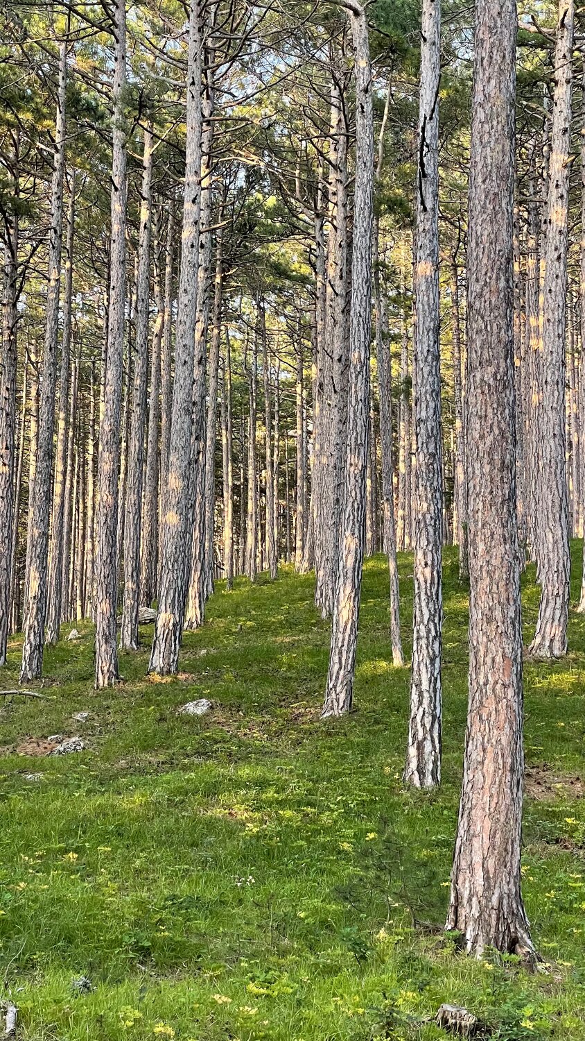 Тропами Крыма: хайкинг для всех