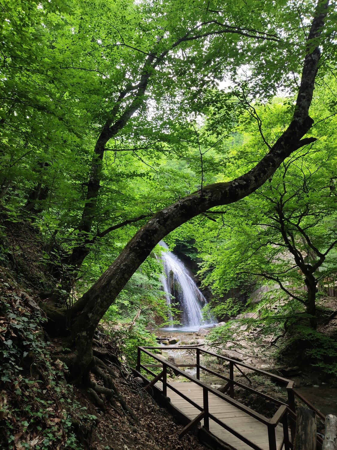 Вдоль моря к Новому Свету: многогранный Крым