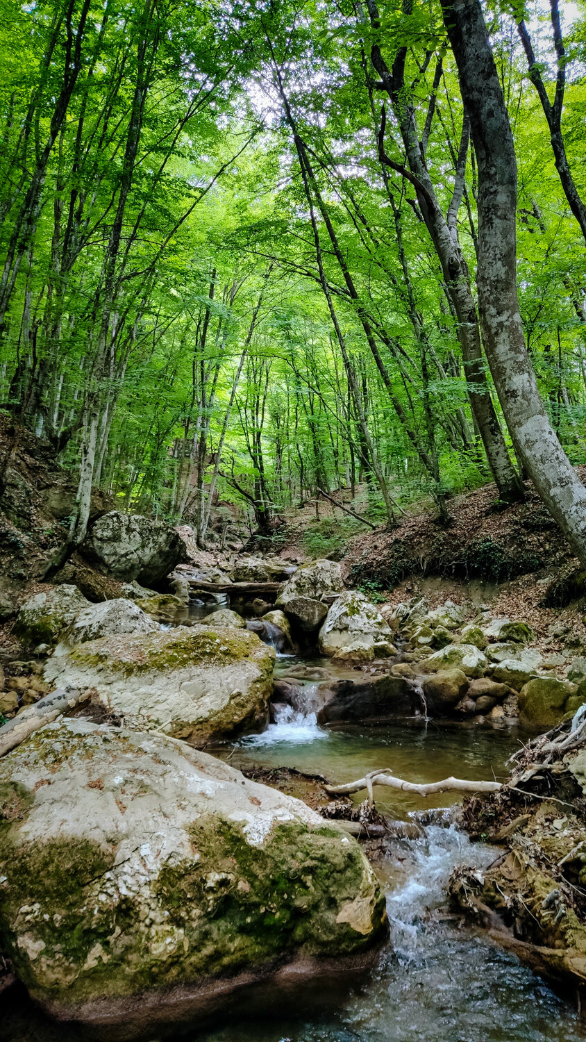 За горами, за лесами: Ай-Петри и Большой каньон