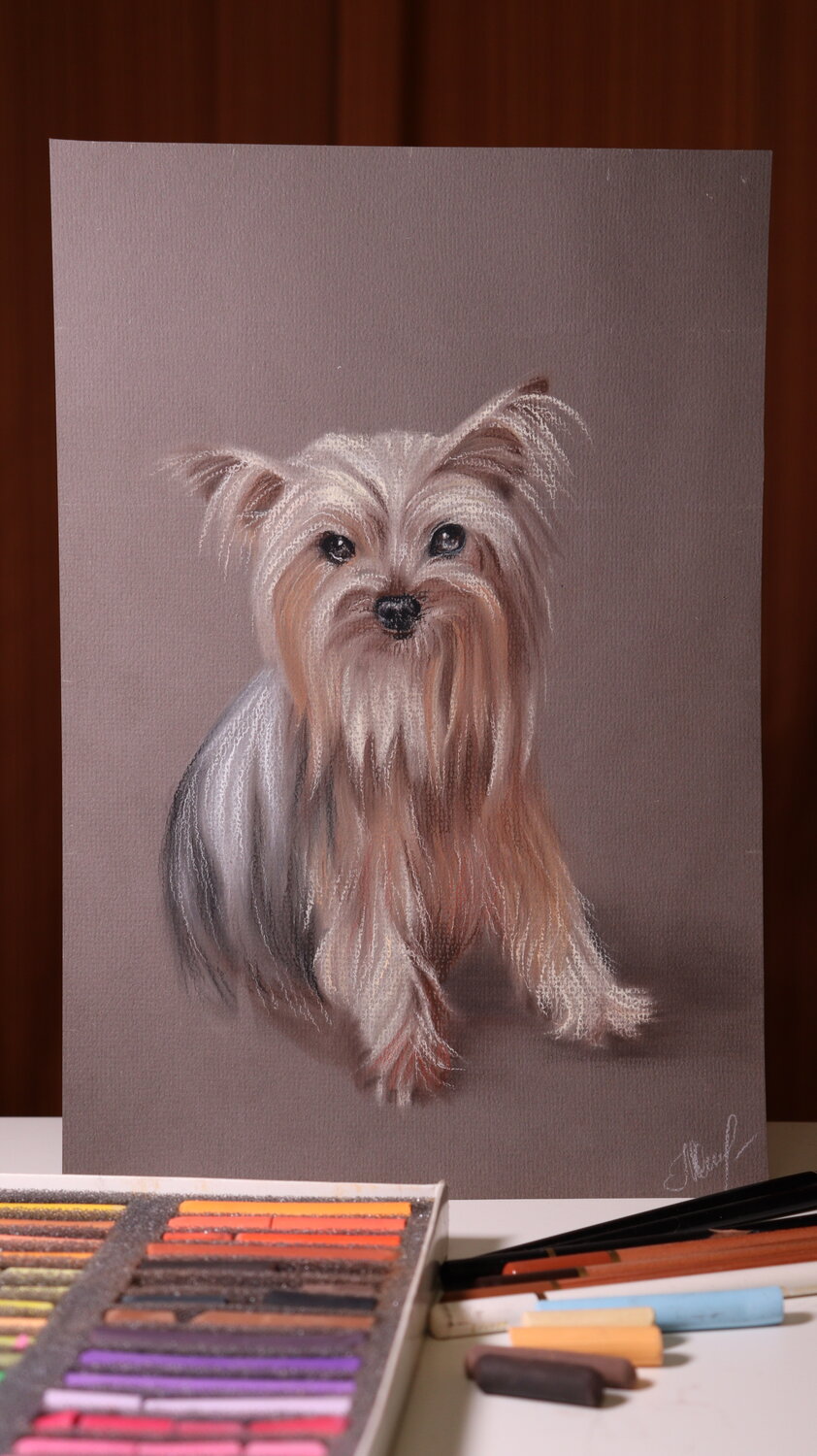 ЗООПОРТРЕТ