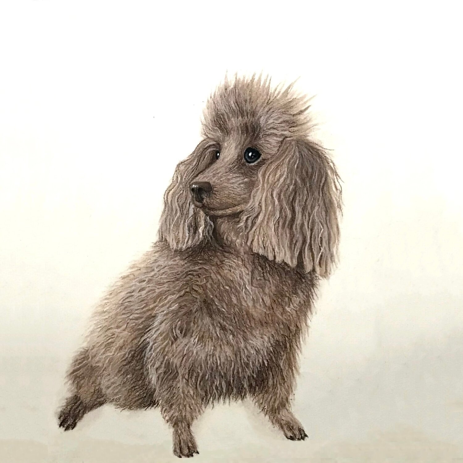 ЗООПОРТРЕТ