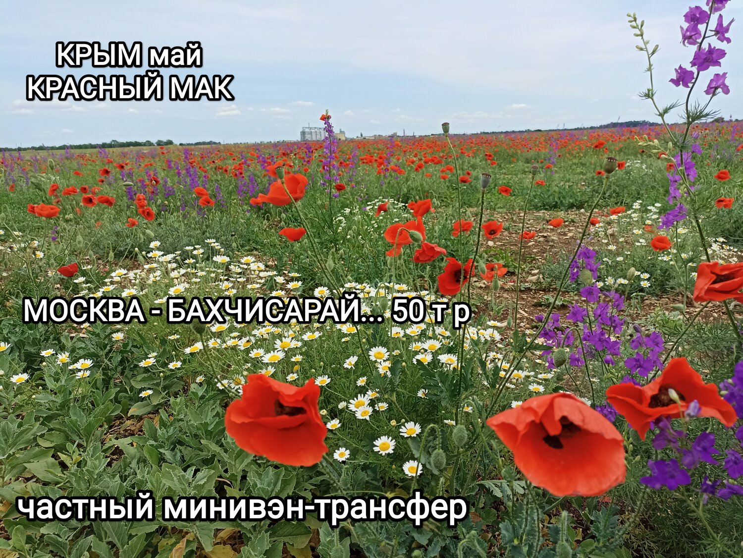 Трансфер минивэн межгород. Предварительный заказ.