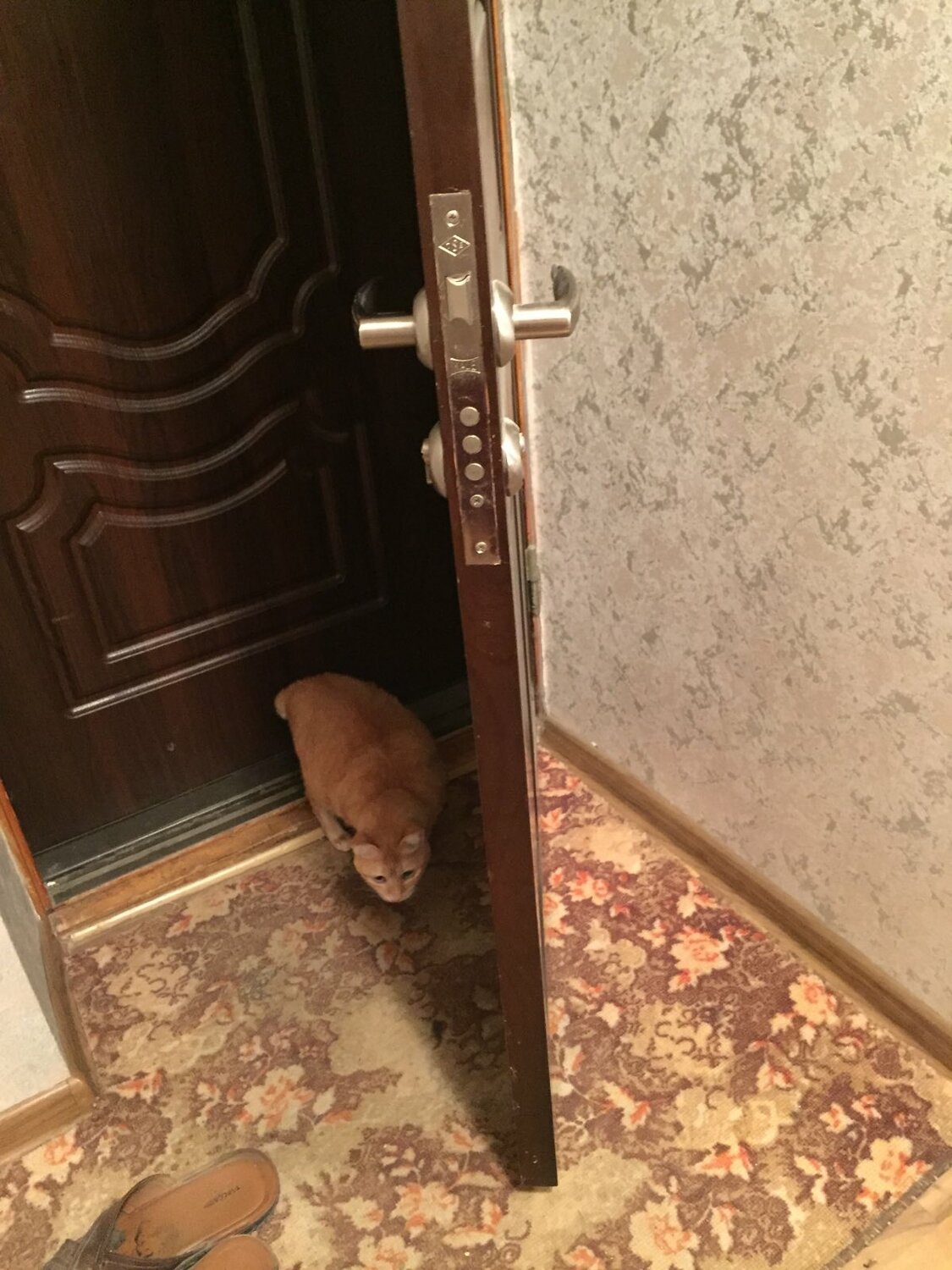 Замена замка входной двери