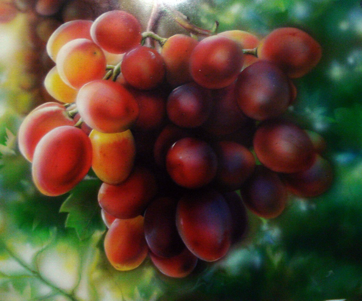 Аэрография