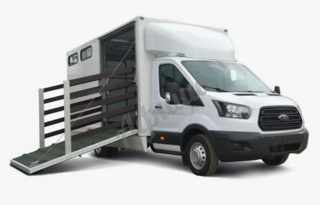 Перевозка вещей: Ford Ford