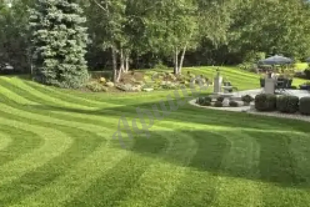 Обустройство газонов