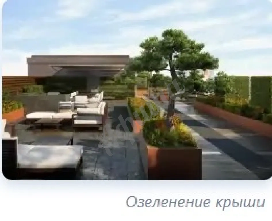 Вертикальное озеленение