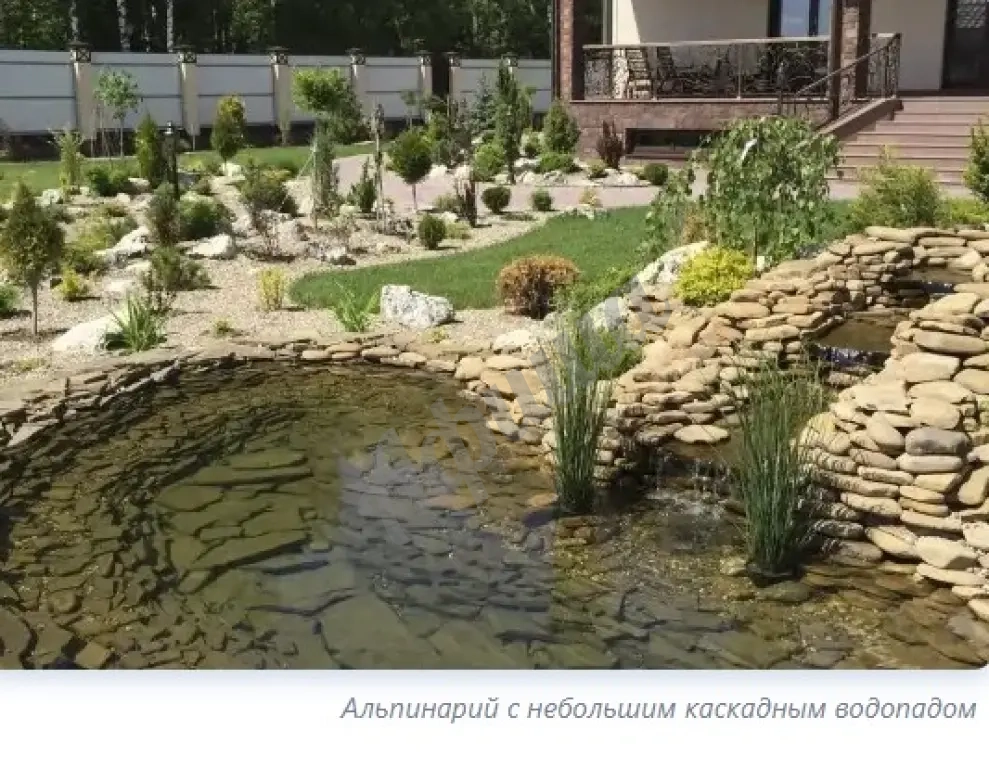Устройство альпийской горки: планировка композиции, подбор и посадка растений