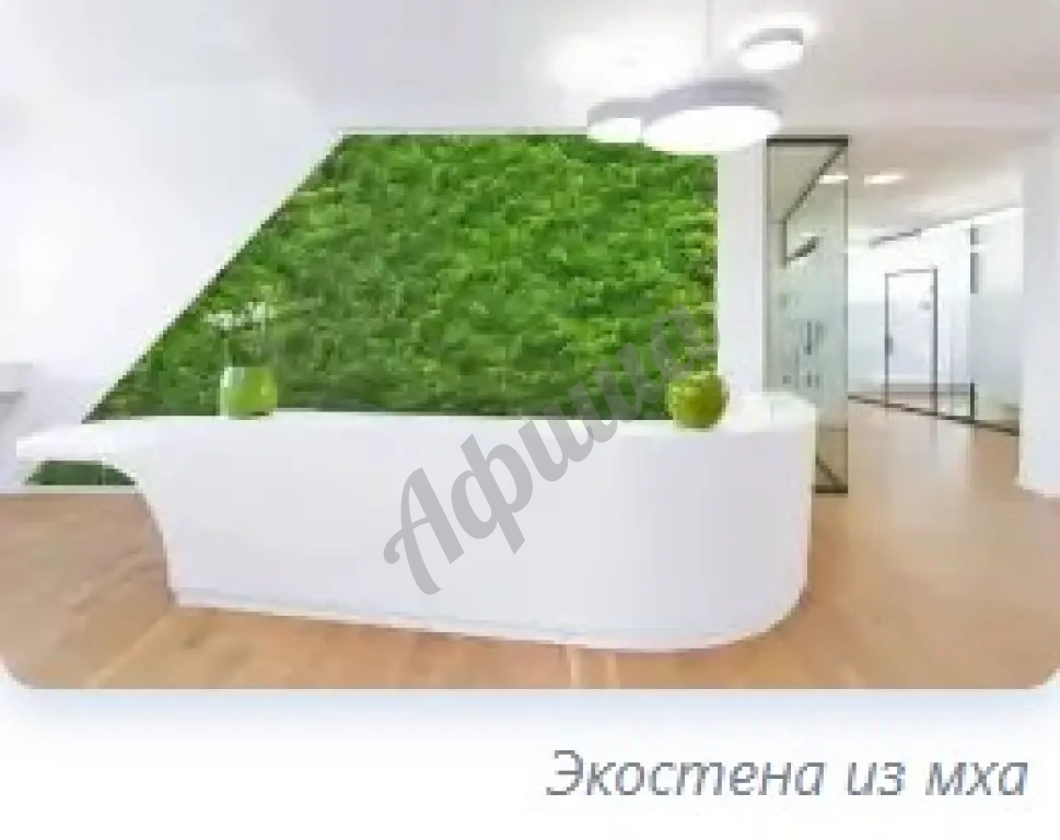 Вертикальное озеленение