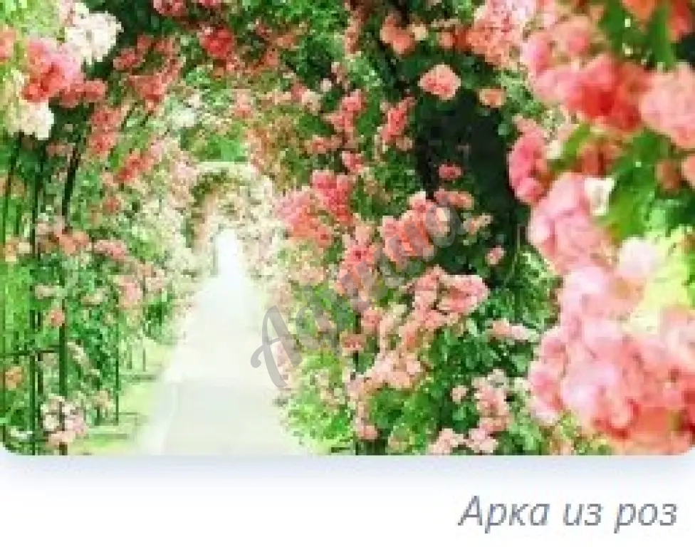 Вертикальное озеленение