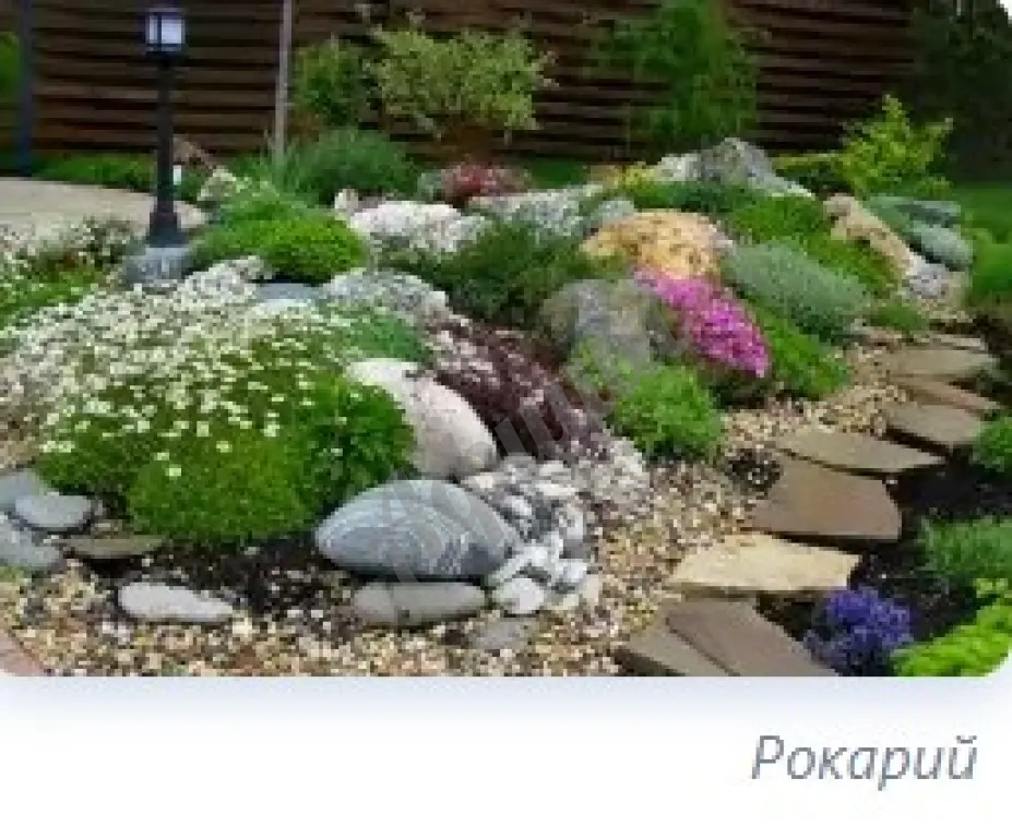 Устройство цветников : посадка однолетних и многолетних цветов