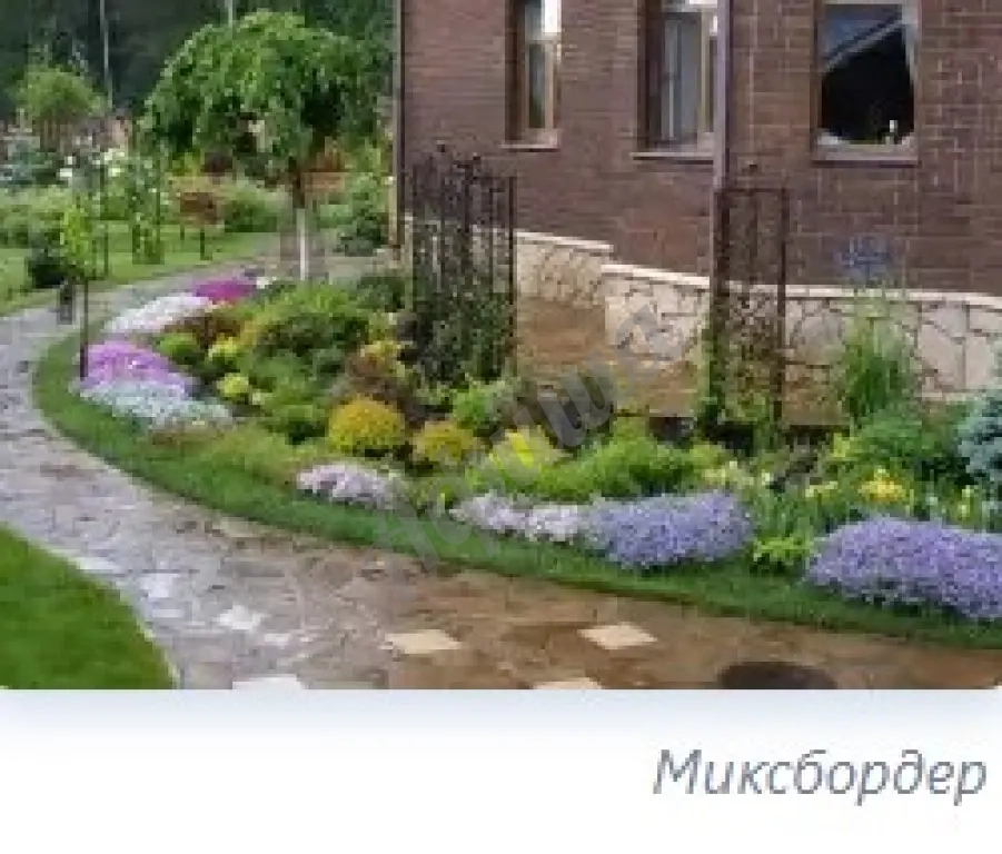 Устройство цветников : посадка однолетних и многолетних цветов