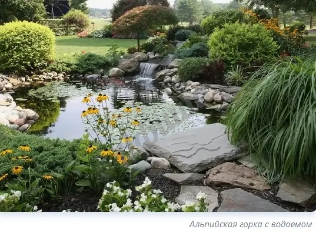 Устройство альпийской горки: планировка композиции, подбор и посадка растений