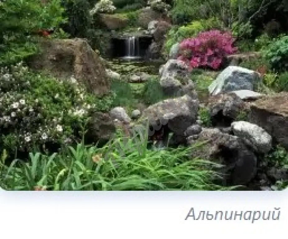 Устройство цветников : посадка однолетних и многолетних цветов