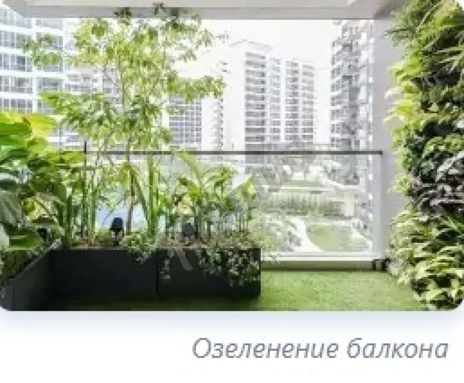 Вертикальное озеленение