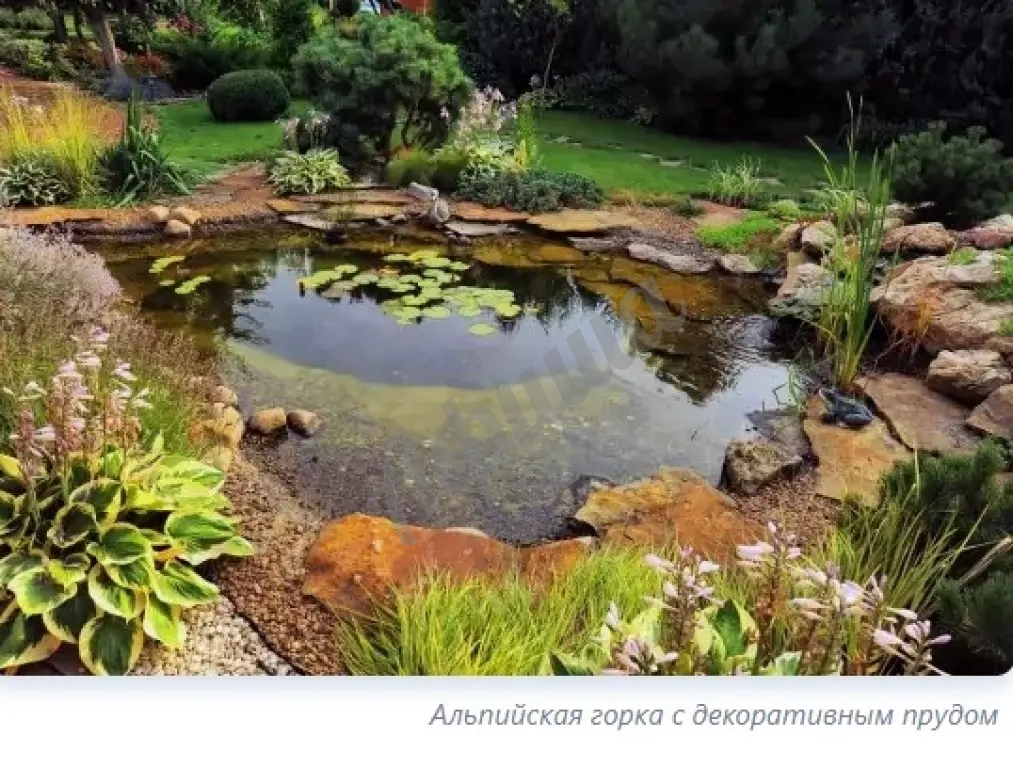 Устройство альпийской горки: планировка композиции, подбор и посадка растений