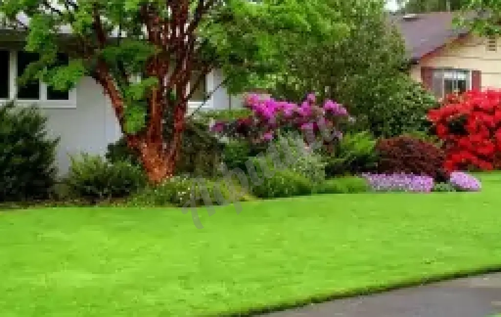 Обустройство газонов