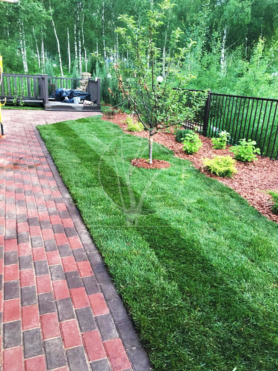 Устройство газона