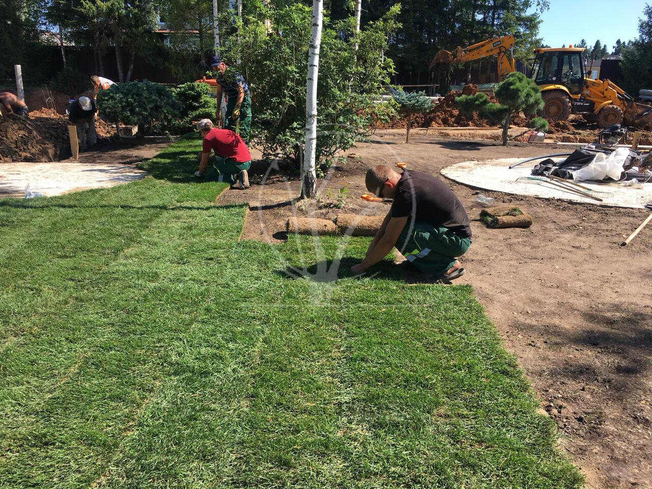 Устройство газона