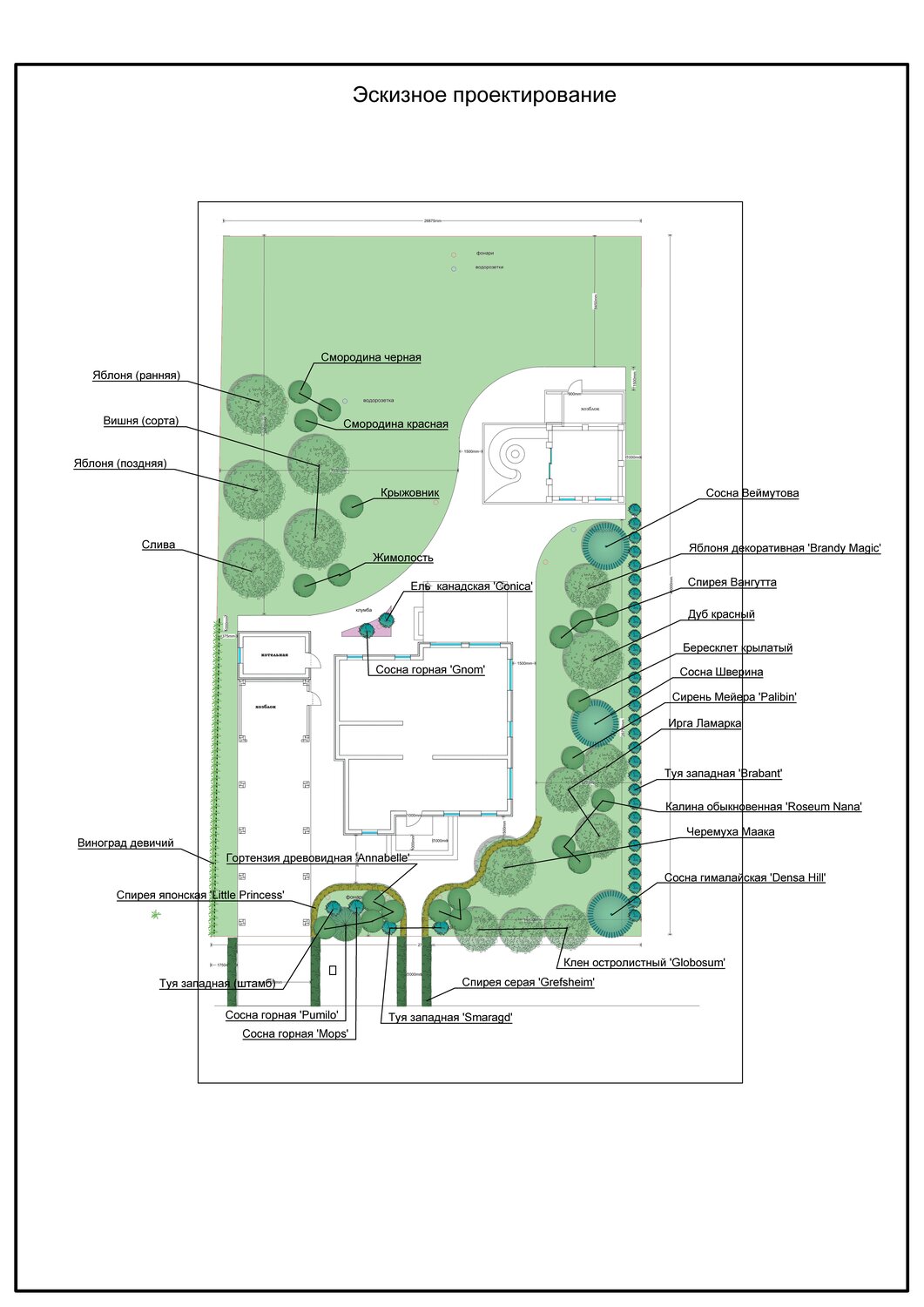 Проект озеленения