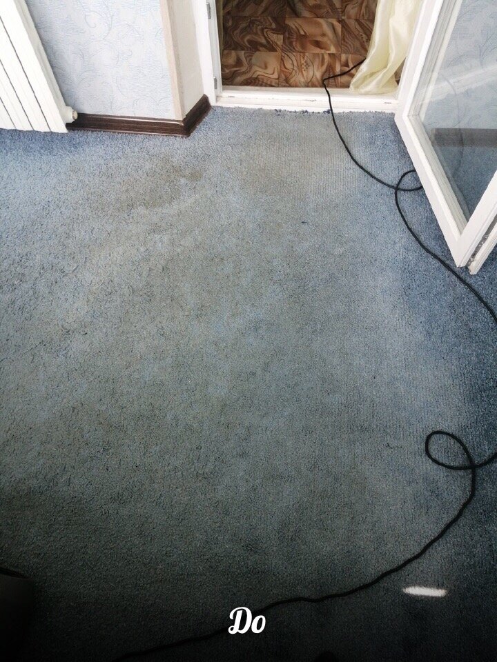 Верните ковру свежесть и яркость! Профессиональная химчистка на дому.