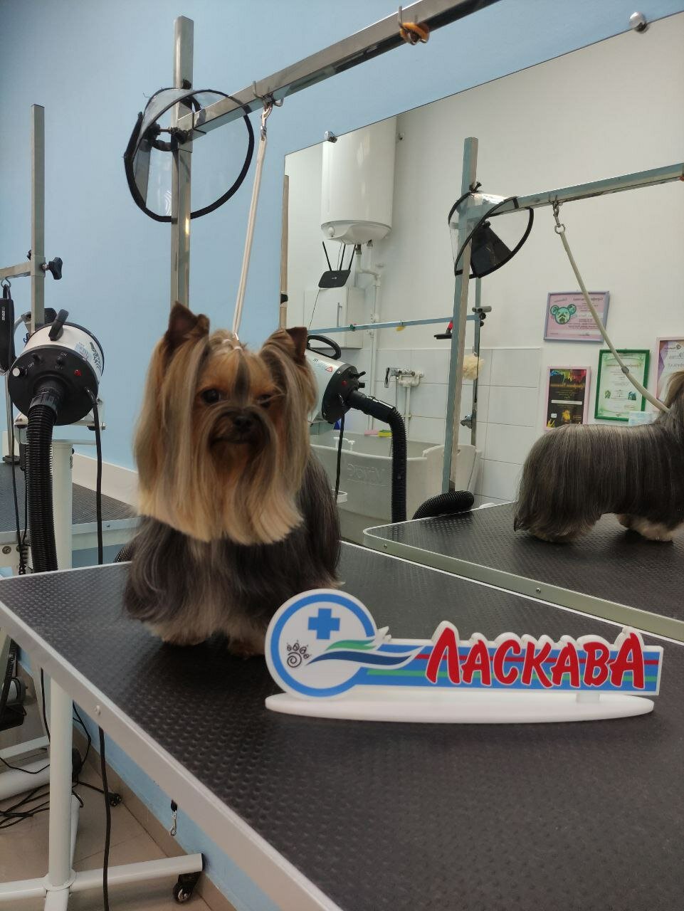 подготовка к выставкам