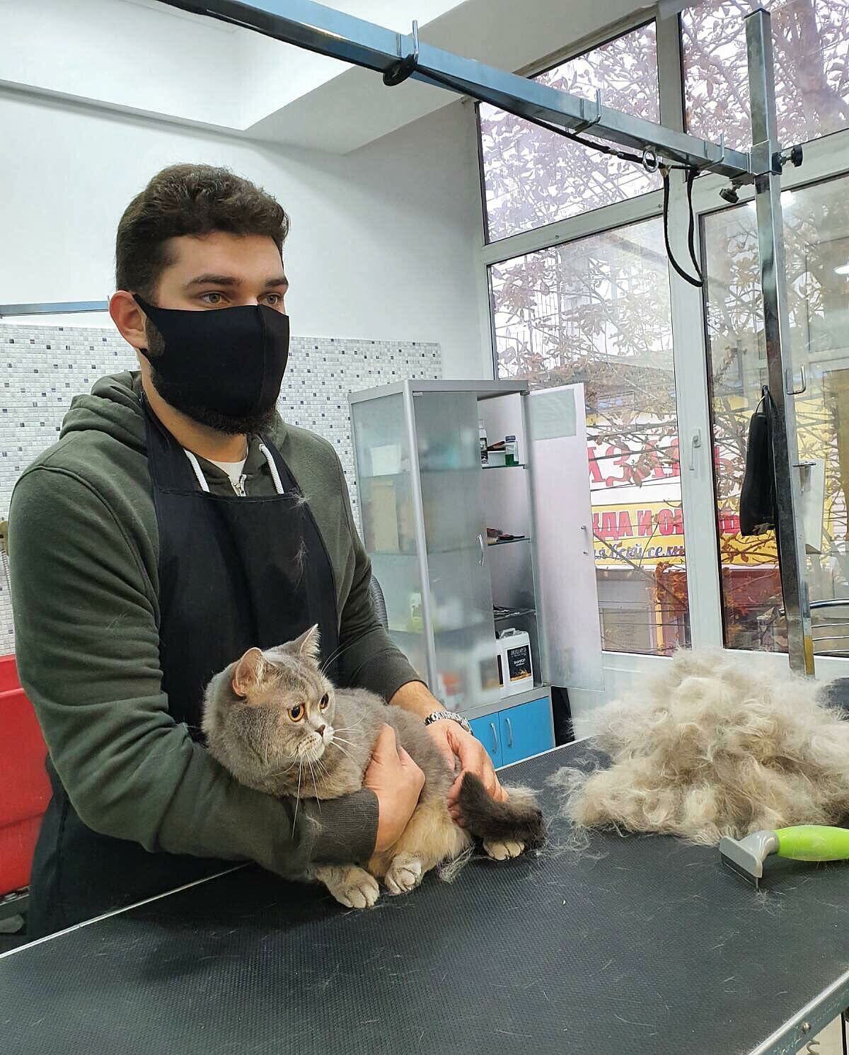 Вычесывание