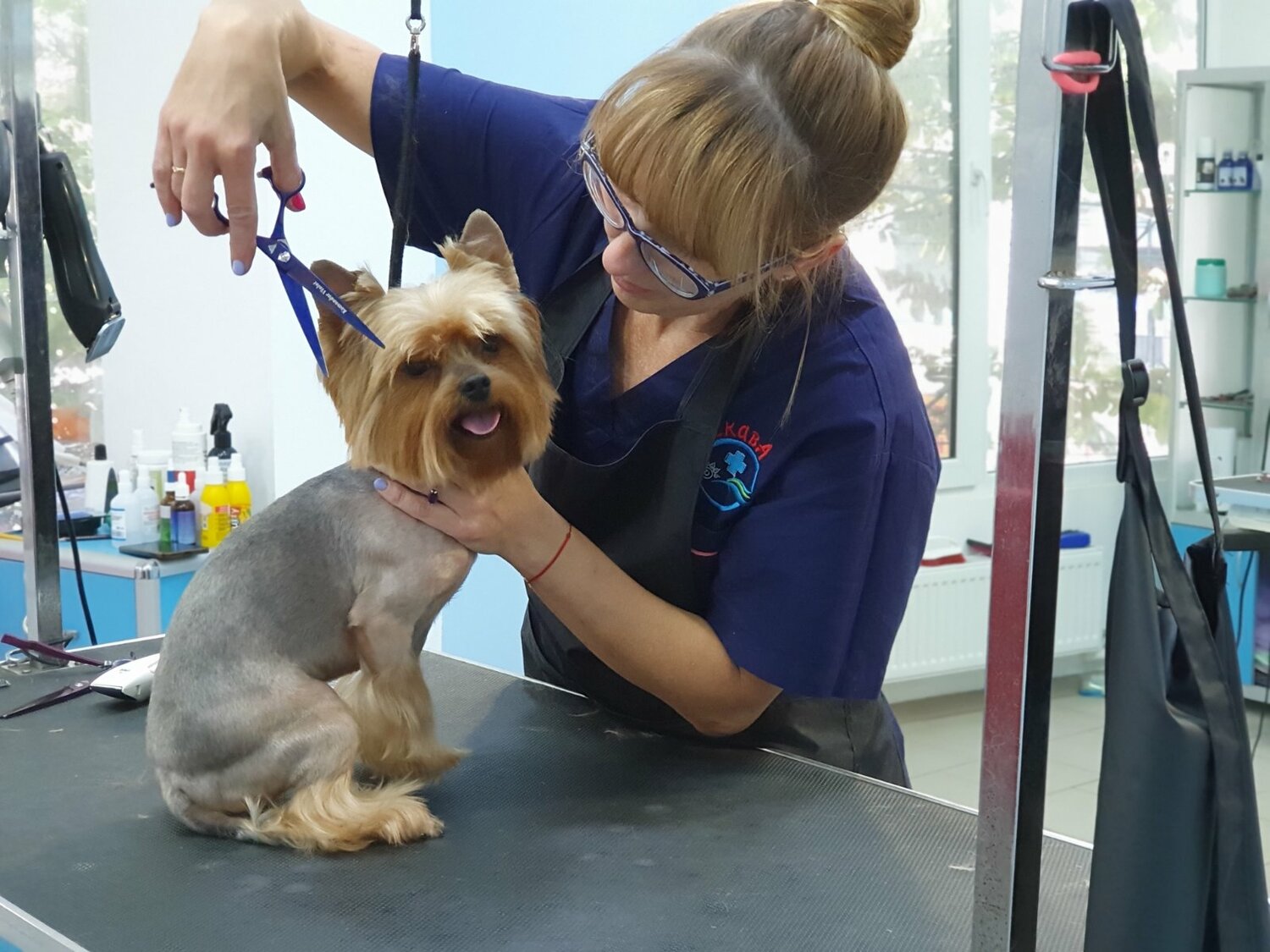 Стрижка собак